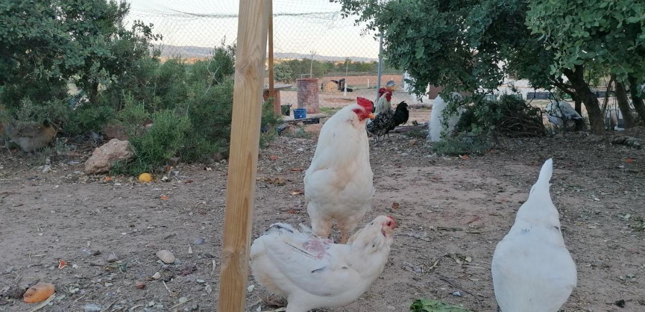 Casa Rural La Loma Nohales エクステリア 写真